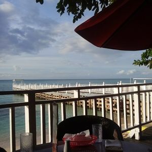 Meet your Posher, Terri